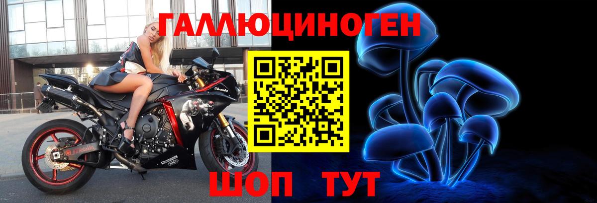 Галлюциногенные грибы мицелий  Вход с VPN  Псилоцибиновые грибы ЛСД  купить наркотики цена  Муром 